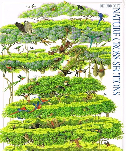 The cover of the book Nature Cross-sections by Richard Orr