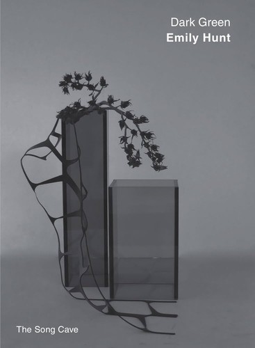 The cover of the book Dark green by Emily Hunt