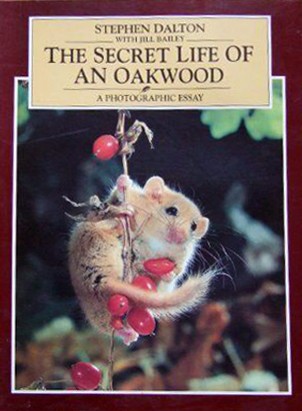 The cover of the book The Secret Life of an Oak Wood by Stephen with Jill Bailey. Dalton